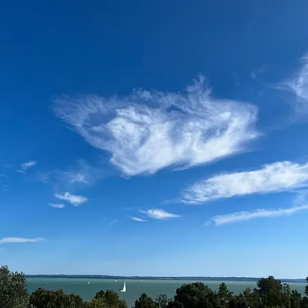 Club Panorama View *