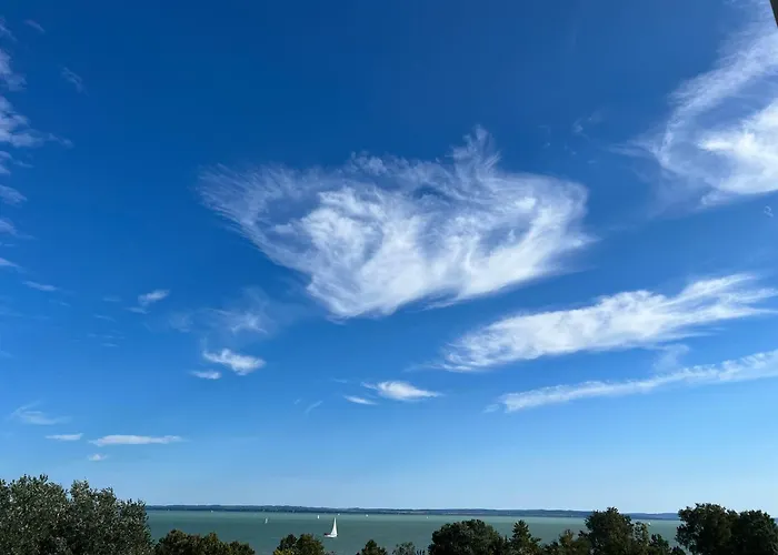 Club Panorama View *